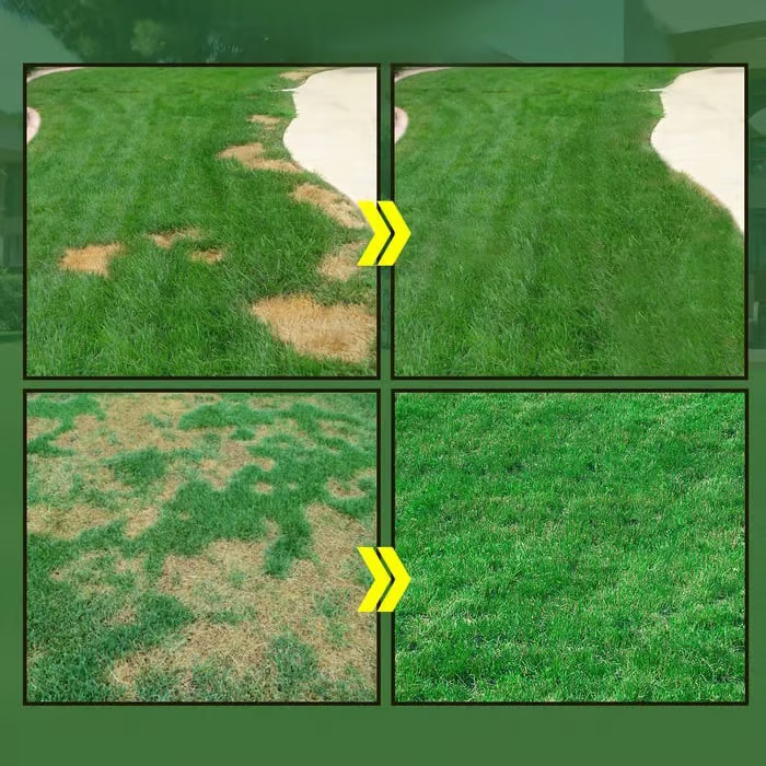 🔥Hydro Seeding Lawn Solution