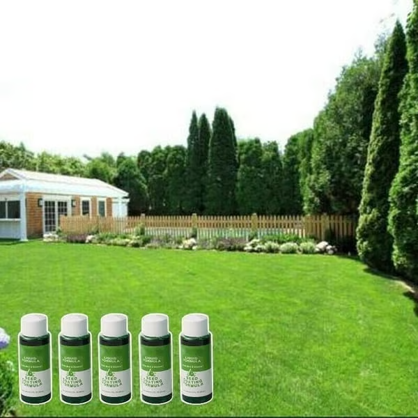 🔥Hydro Seeding Lawn Solution
