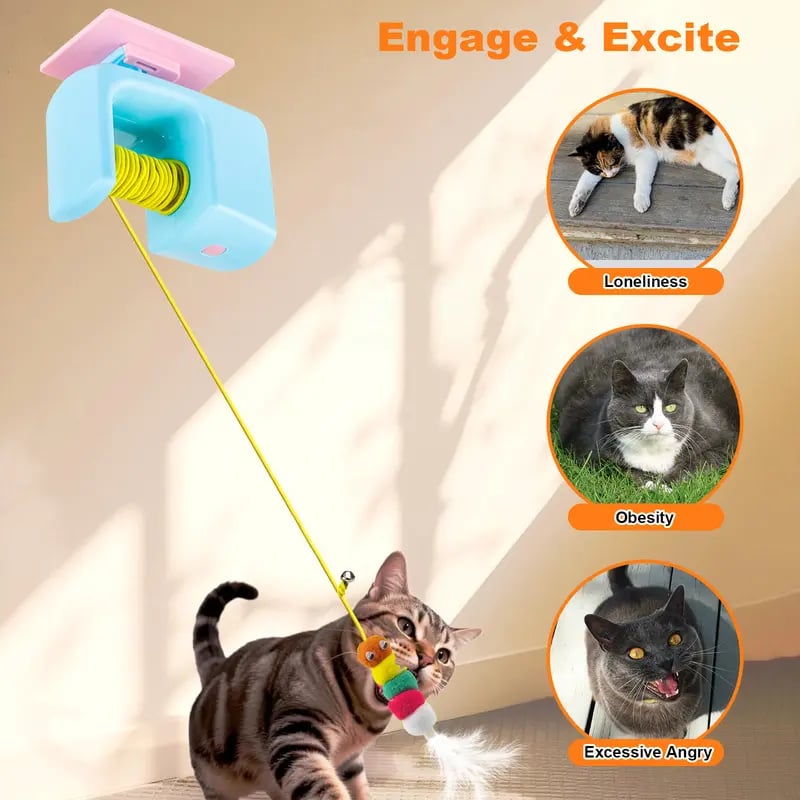 🐱Pet Stress Relief Toys for Cats