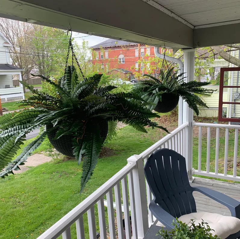 🌿UV Resistant Lifelike Artificial Boston Fern