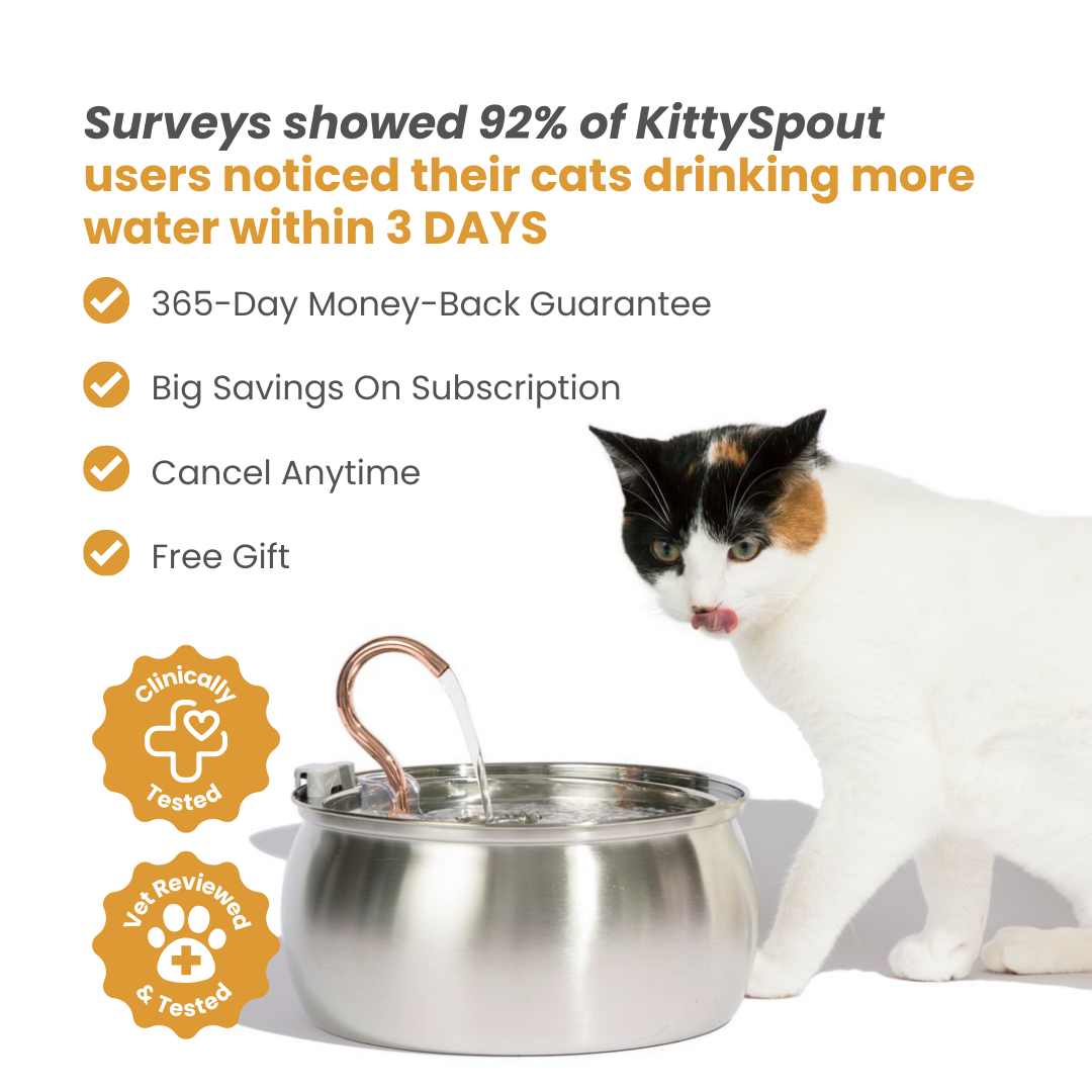 Tiktrove- 4L Fountain