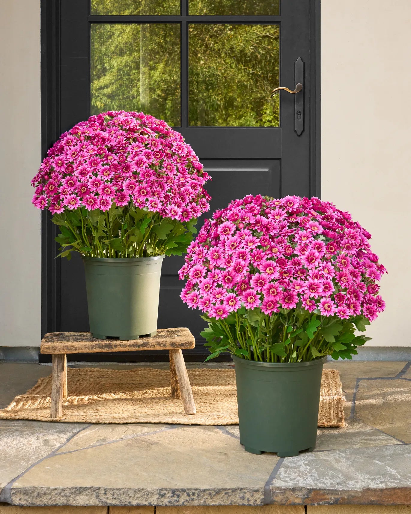 Artificial Outdoor Sunset Mums Flowers - UV resistant, Waterproof, Windproof