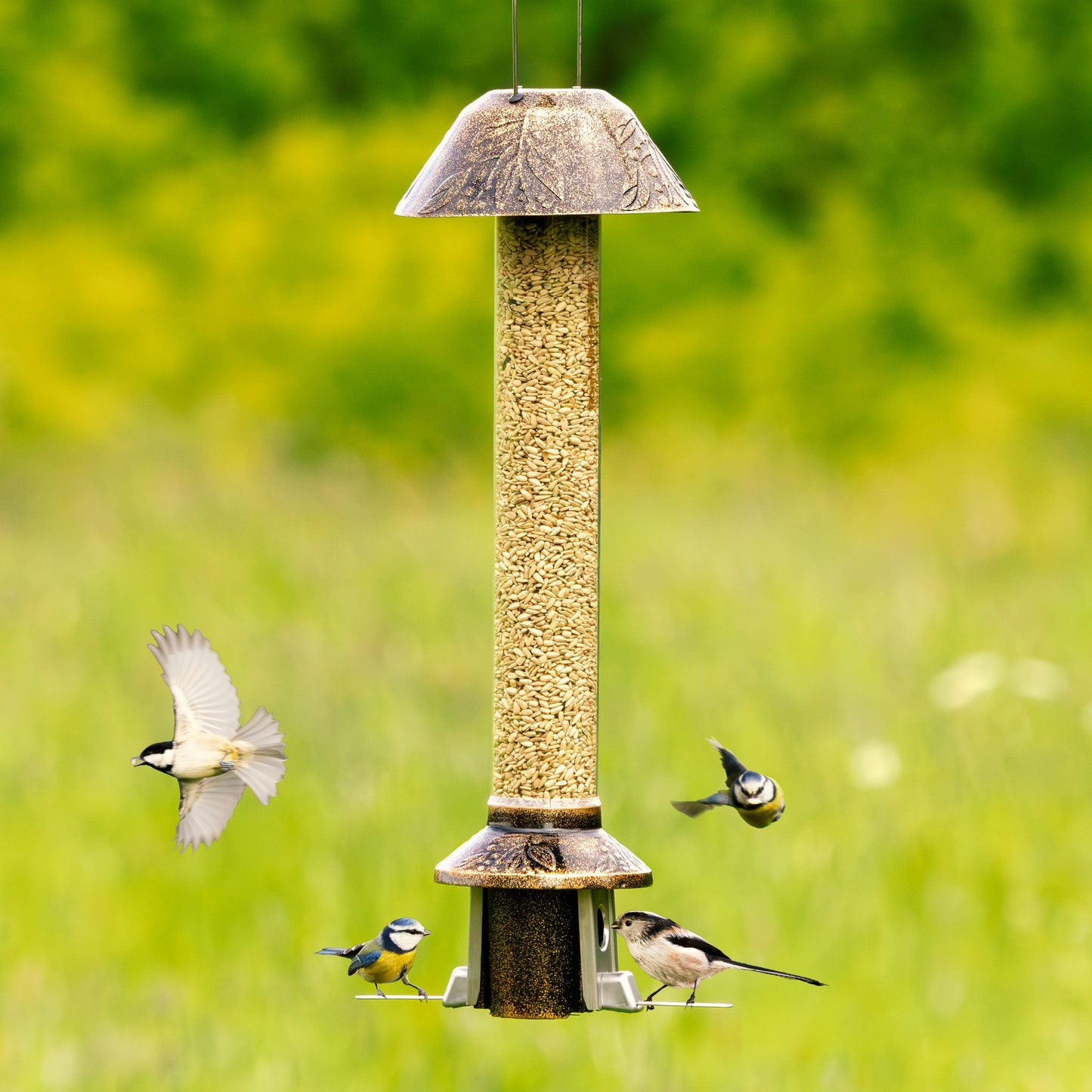 Tiktrove PestOff Squirrel Proof Bird Feeder 2.0