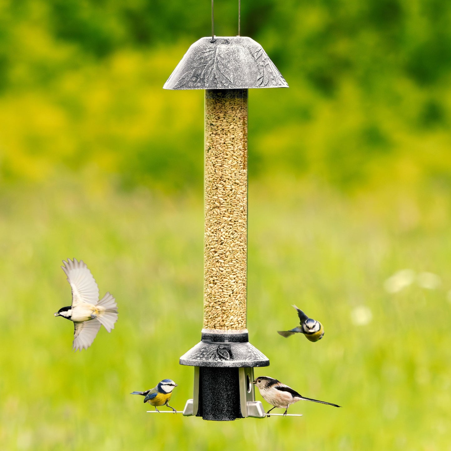 Tiktrove PestOff Squirrel Proof Bird Feeder 2.0