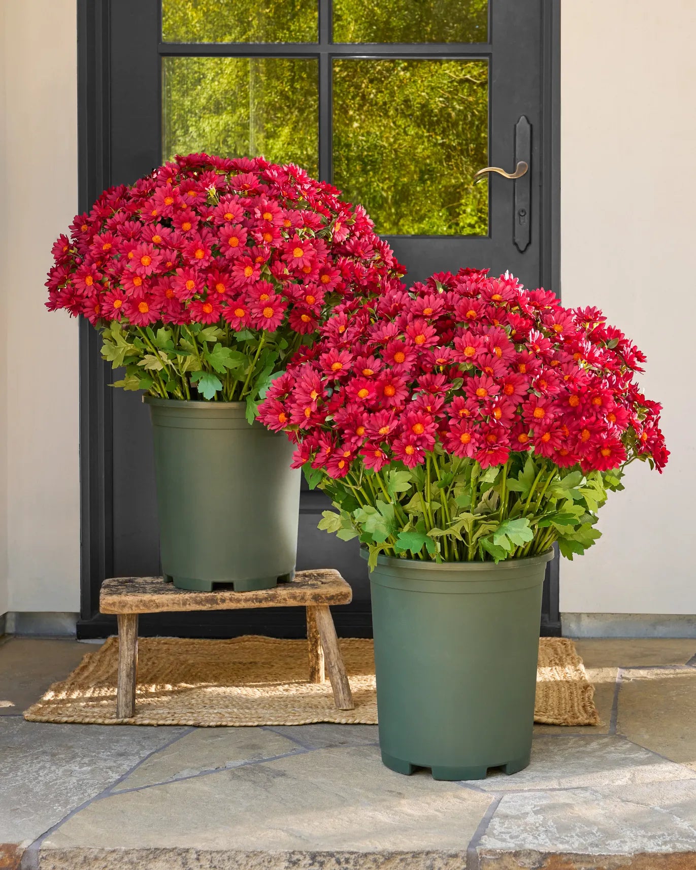 Artificial Outdoor Sunset Mums Flowers - UV resistant, Waterproof, Windproof