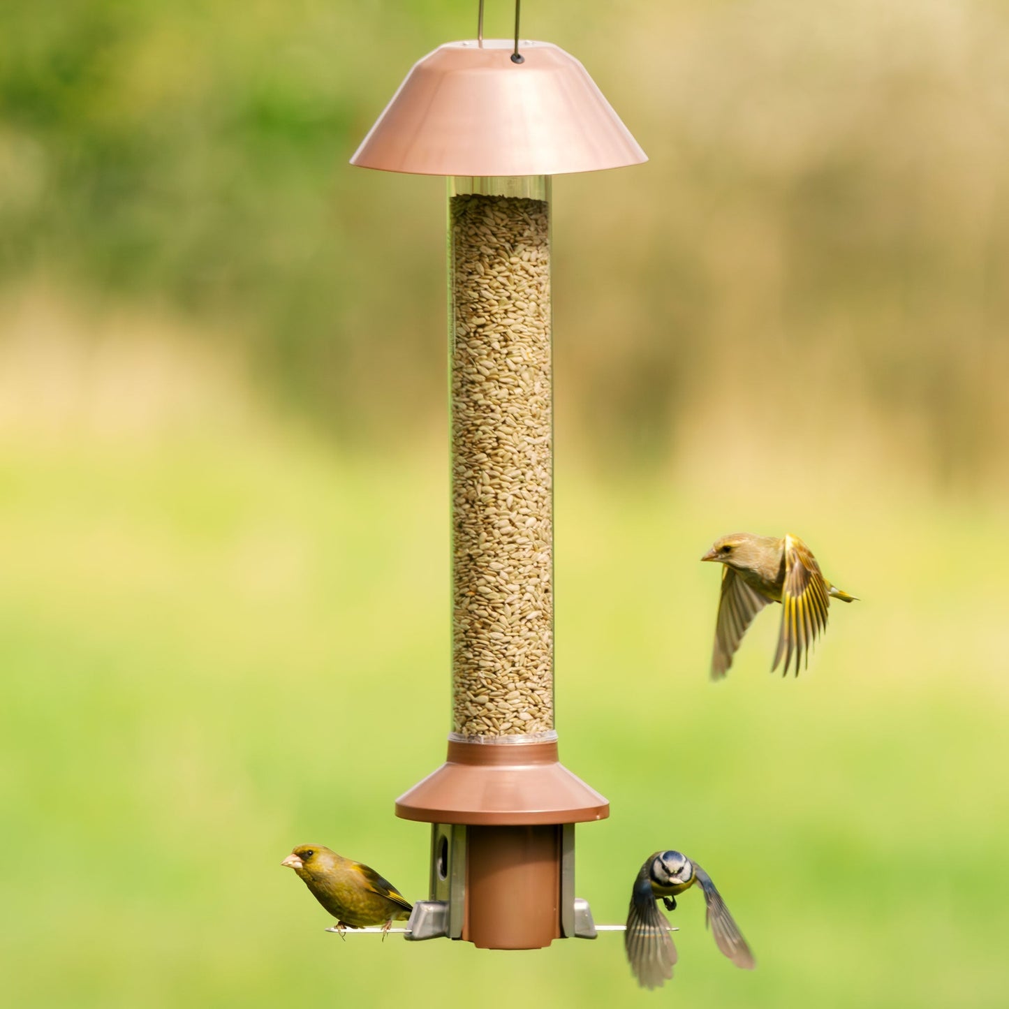 Tiktrove PestOff Squirrel Proof Bird Feeder 2.0