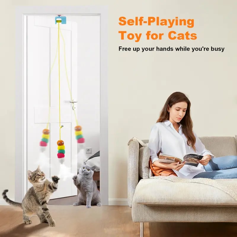 🐱Pet Stress Relief Toys for Cats
