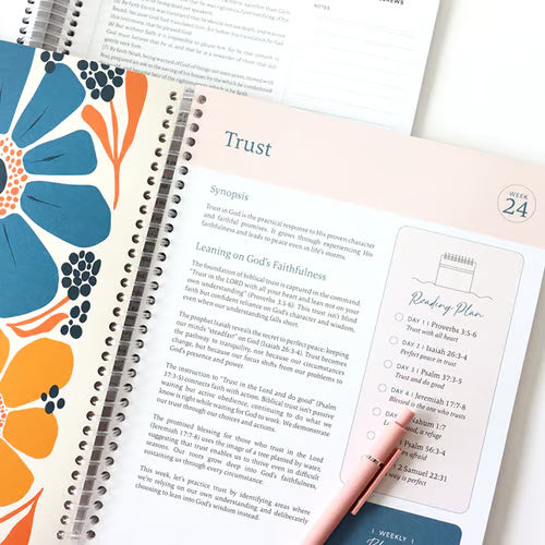 The Bible In A Year - 52 Week Bible Journal