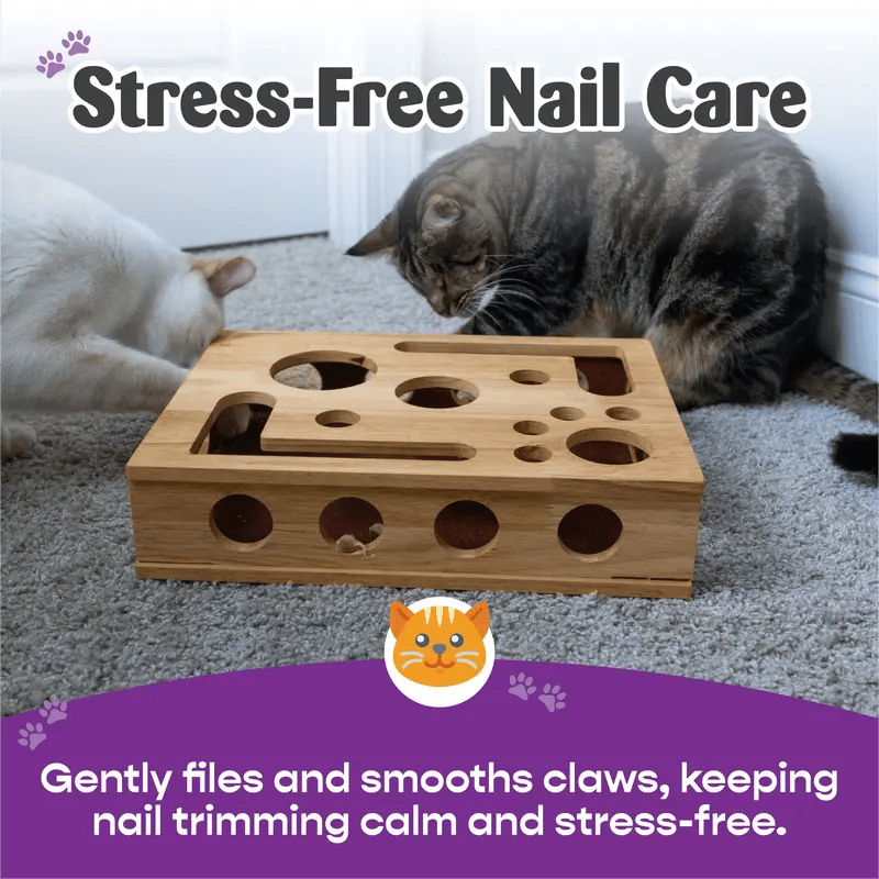 🎁🎄Cat Scratch Puzzle Enrichment Box