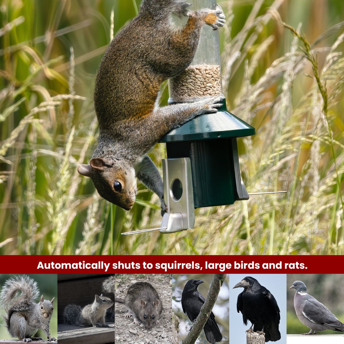 Tiktrove PestOff Squirrel Proof Bird Feeder 2.0