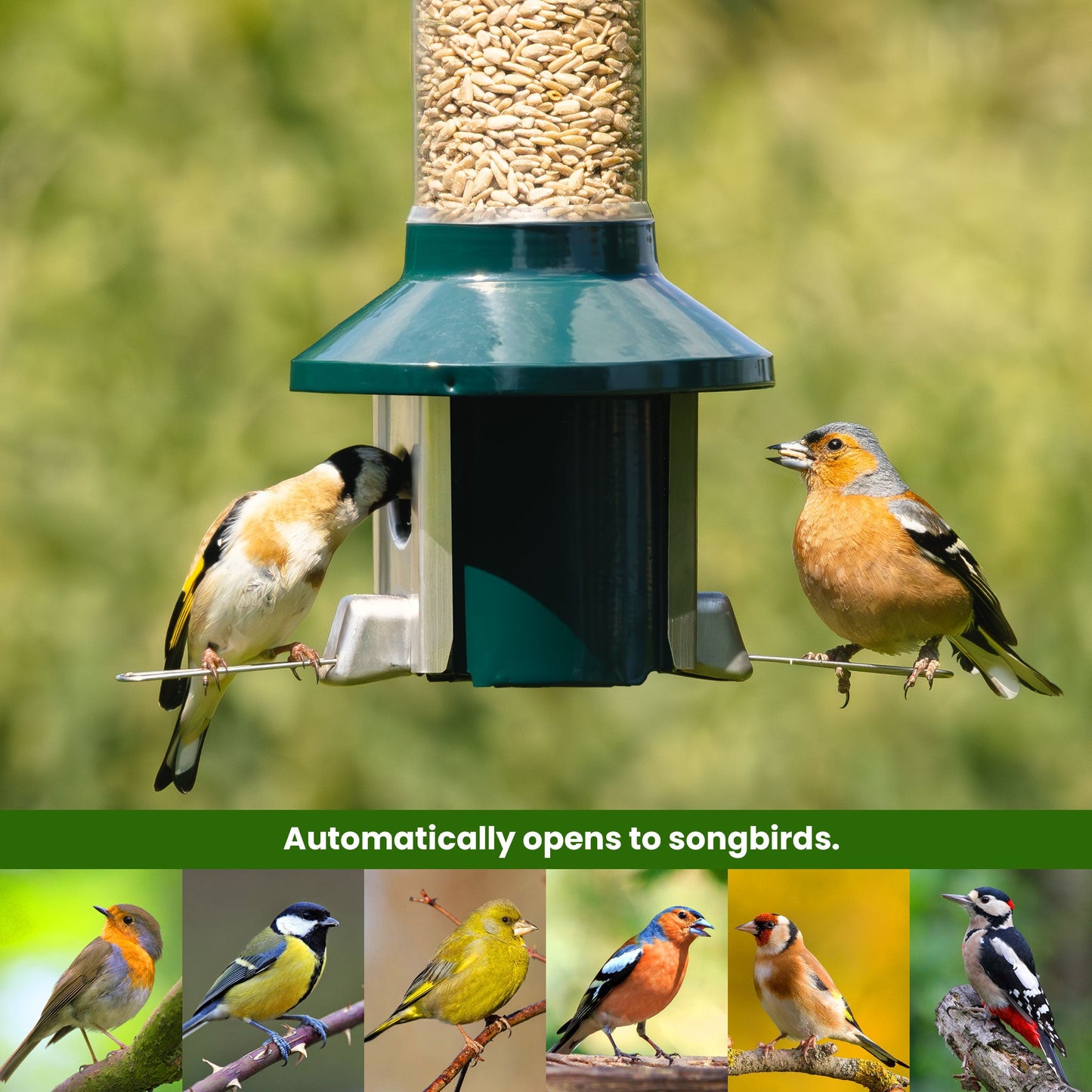 Tiktrove PestOff Squirrel Proof Bird Feeder 2.0
