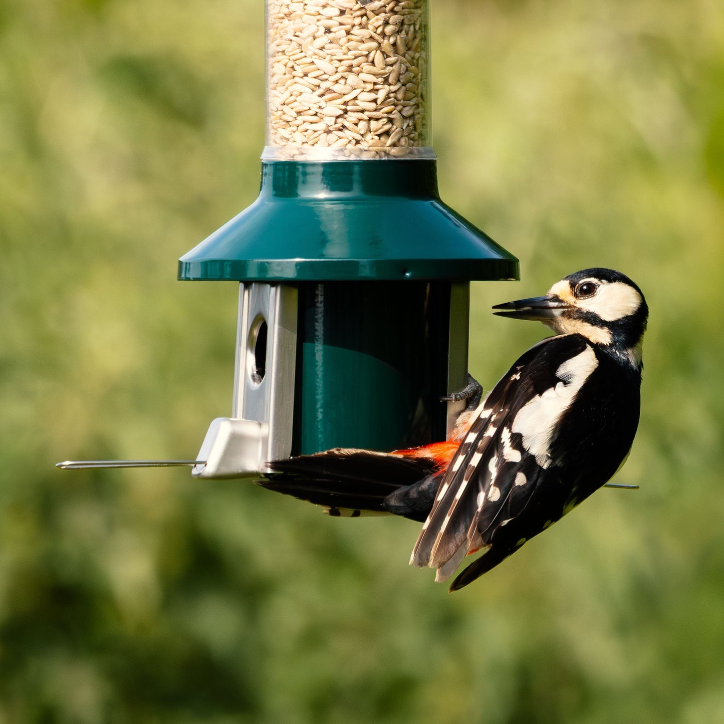 Tiktrove PestOff Squirrel Proof Bird Feeder 2.0