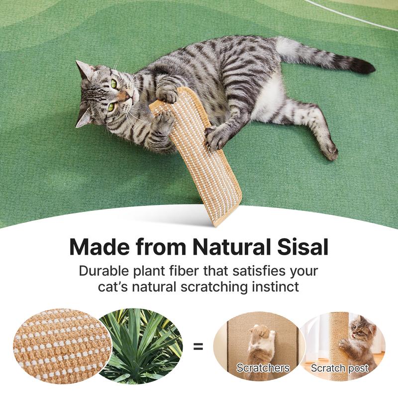 🐱Interactive Catnip Chew Toy