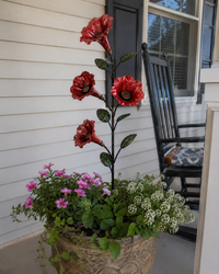 Poppy Red