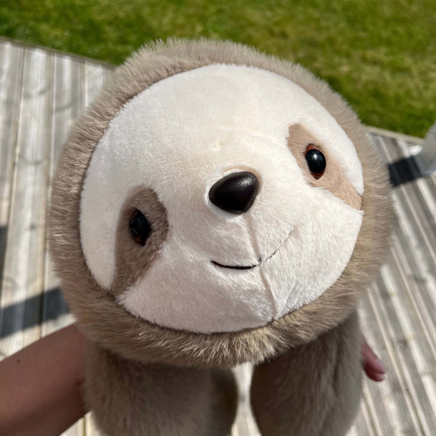 Weighted Animal dolls