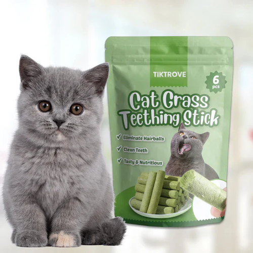 Cats’ Favorite Grass Teething Stick