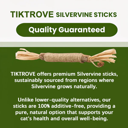 Tiktrove Natural Silvervine Dental Sticks