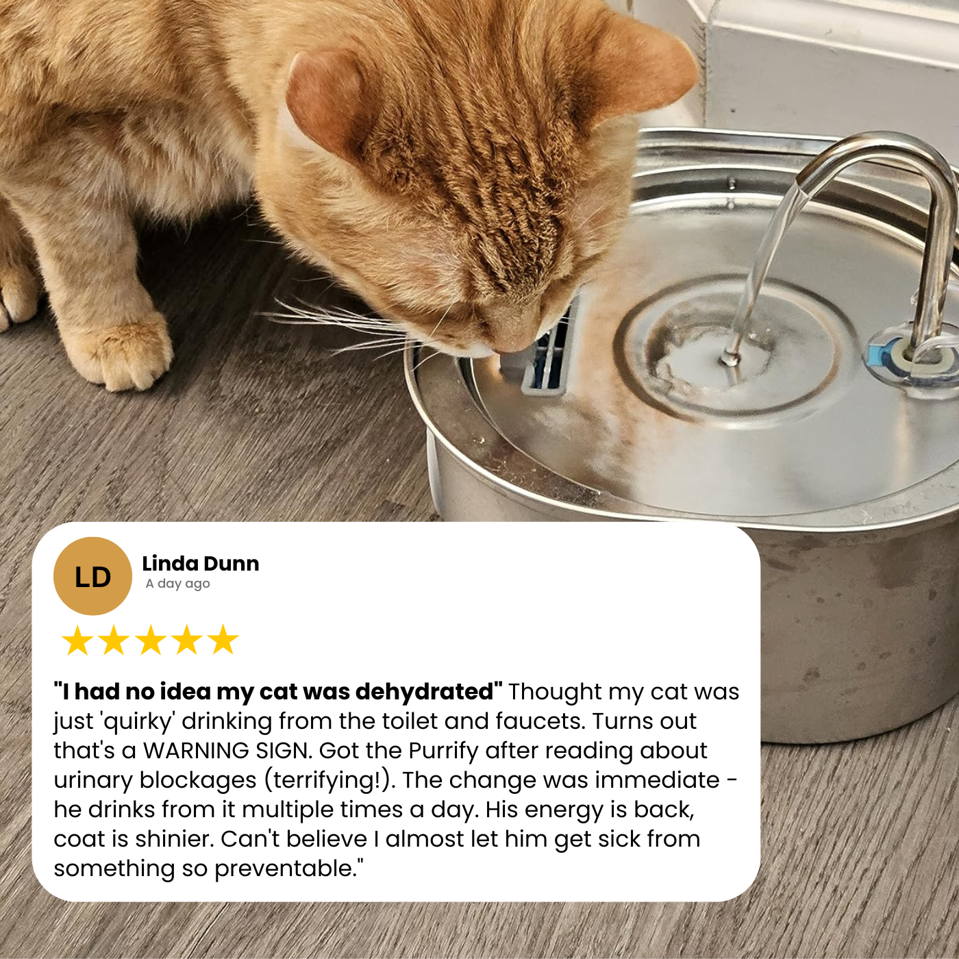 Tiktrove Stainless Steel Water Fountain