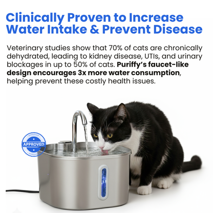 Tiktrove Stainless Steel Water Fountain