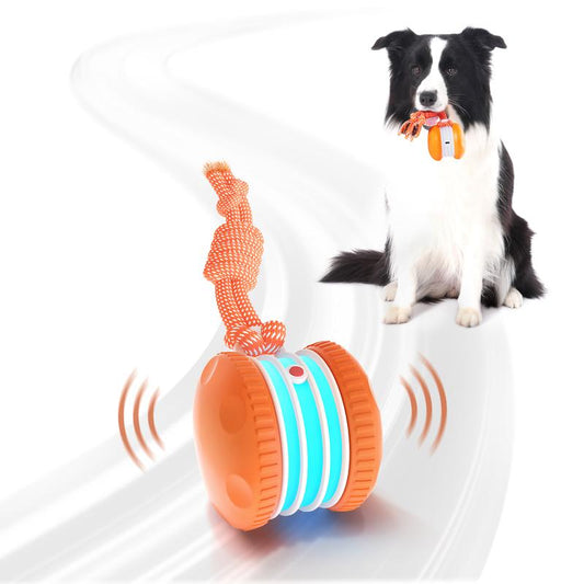 🐶The Tiktrove – Keep Your Pet Relaxed, Happy & Content 🐾