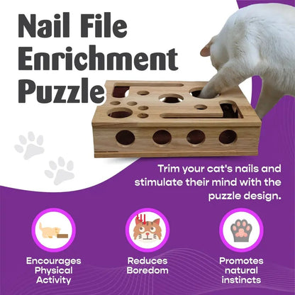 🎁🎄Cat Scratch Puzzle Enrichment Box