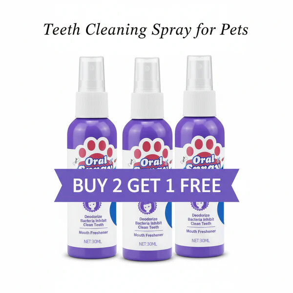 Buy 2 Get 1 Free