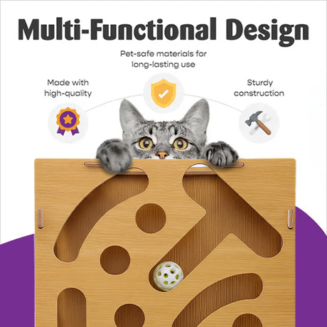 Cat Scratch Puzzle Enrichment Box
