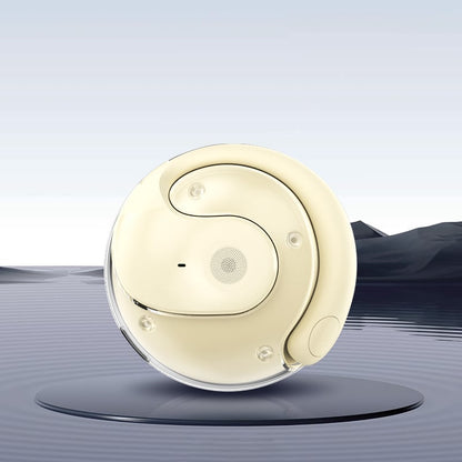 🔥Wireless Bluetooth Translation Earbuds