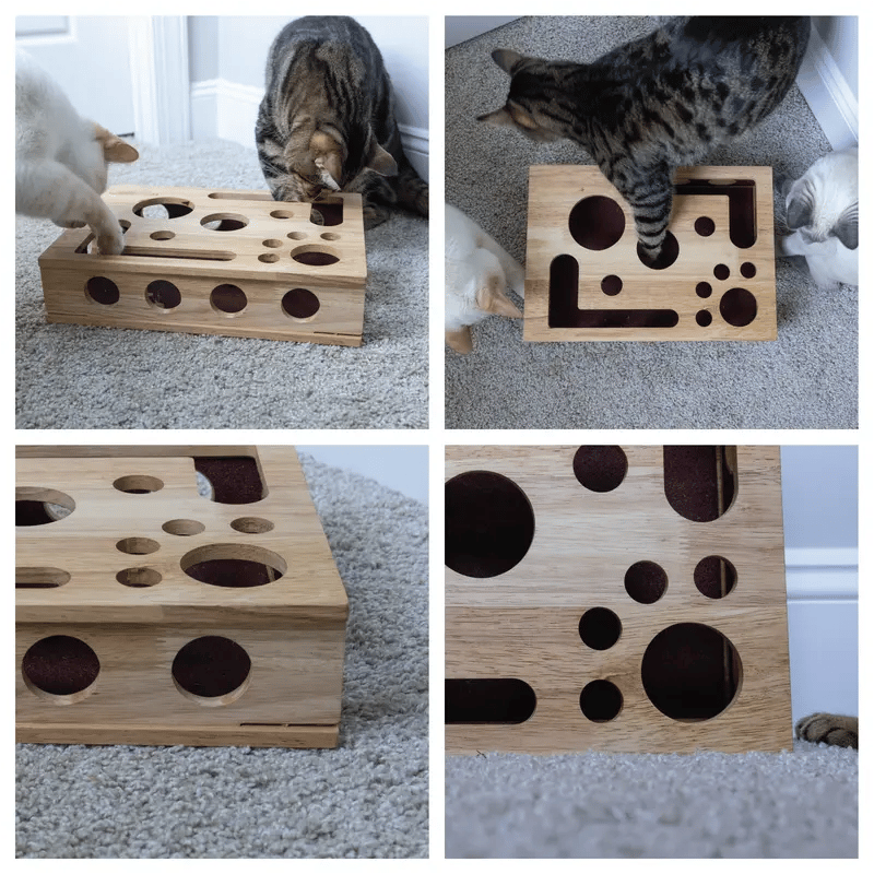 🎁🎄Cat Scratch Puzzle Enrichment Box