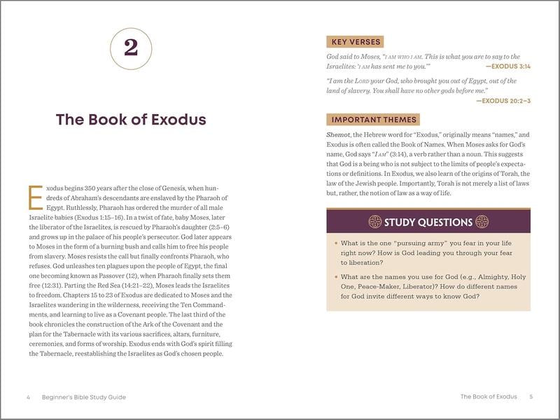 The Beginner's Bible Study Guide