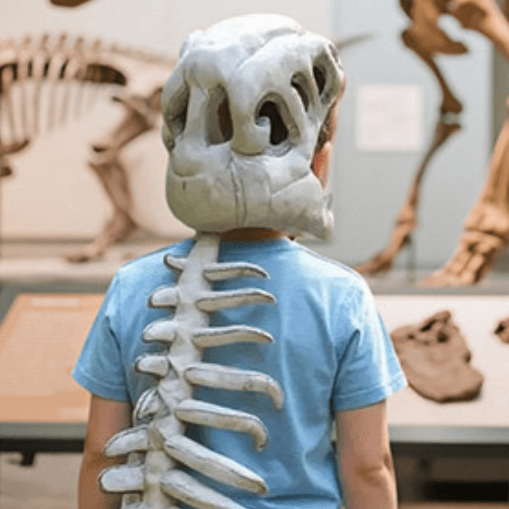 Tiktrove Plush Dino Outfit