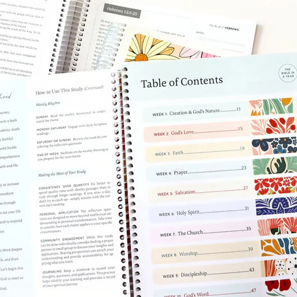 The Bible In A Year - 52 Week Bible Journal