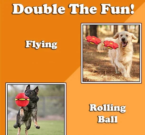 🏆Flash Sale⚡ 50K+ SOLD! Almost Gone-💥💥The Doggy Disc Ball💞,Best Gifts