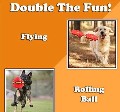 🏆Flash Sale⚡ 50K+ SOLD! Almost Gone-💥💥The Doggy Disc Ball💞,Best Gifts