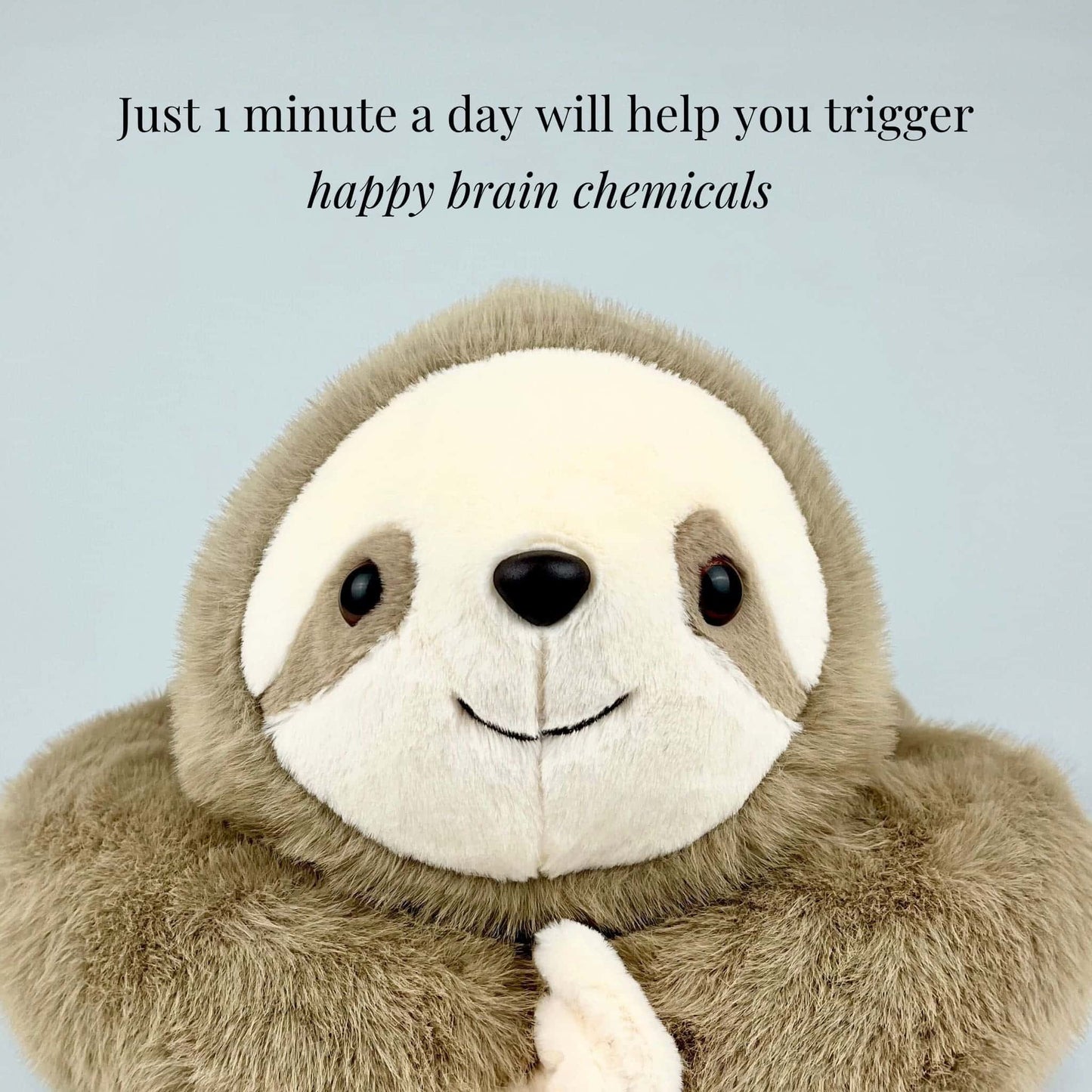 Weighted Animal dolls