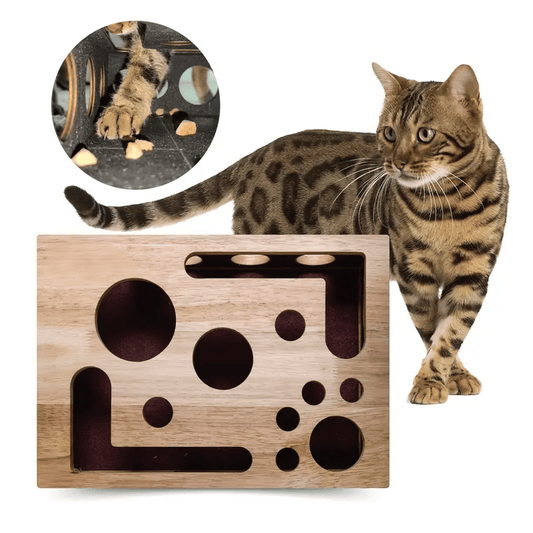 🎁🎄Cat Scratch Puzzle Enrichment Box