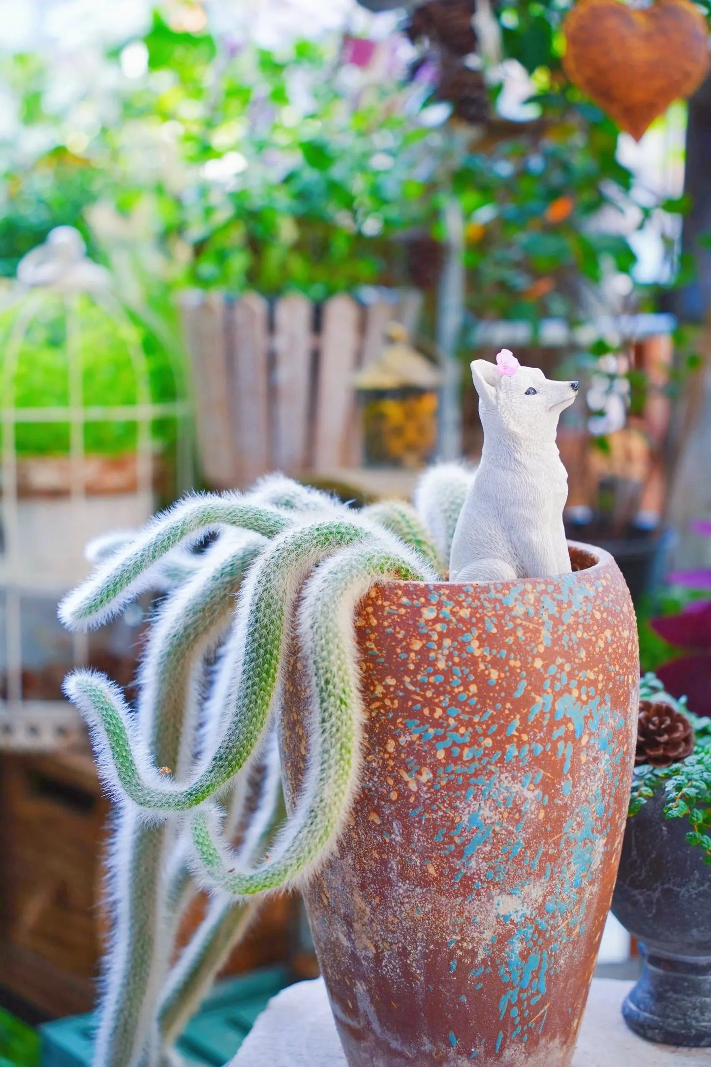 🌵Rare Monkey Tail Cactus🦊— Embark on a Dreamlike Journey✨