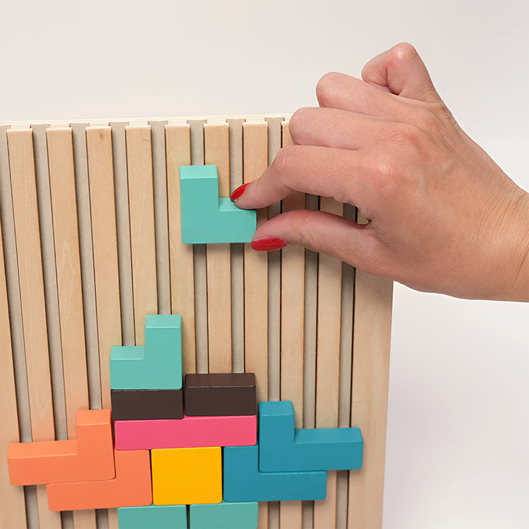 Tiktrove Brain Blocks