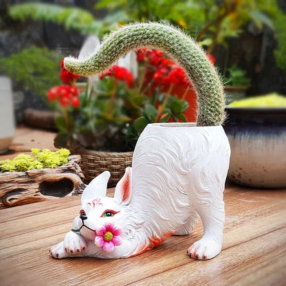 🌵Rare Monkey Tail Cactus🦊— Embark on a Dreamlike Journey✨