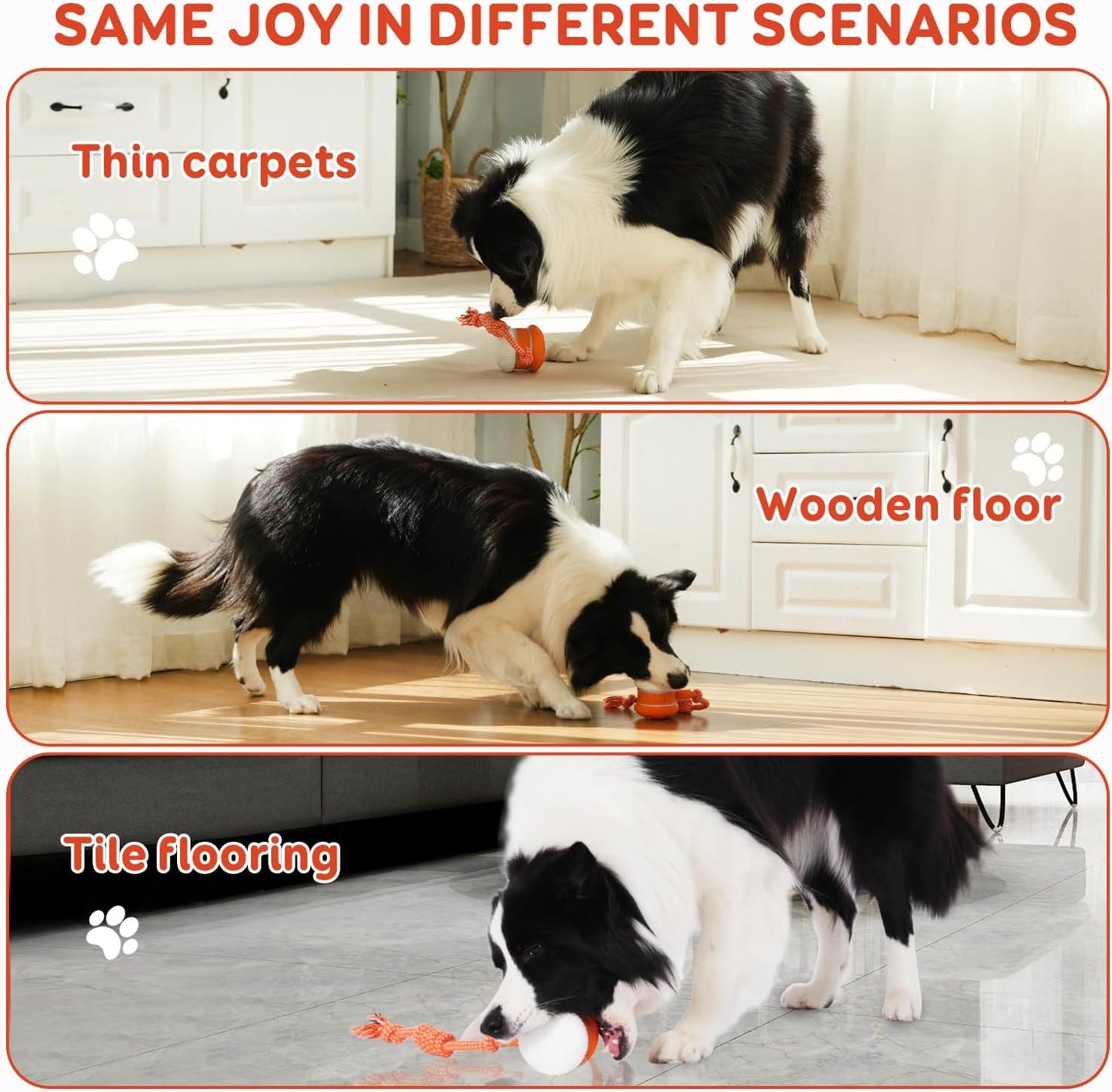 🐶The Tiktrove – Keep Your Pet Relaxed, Happy & Content 🐾