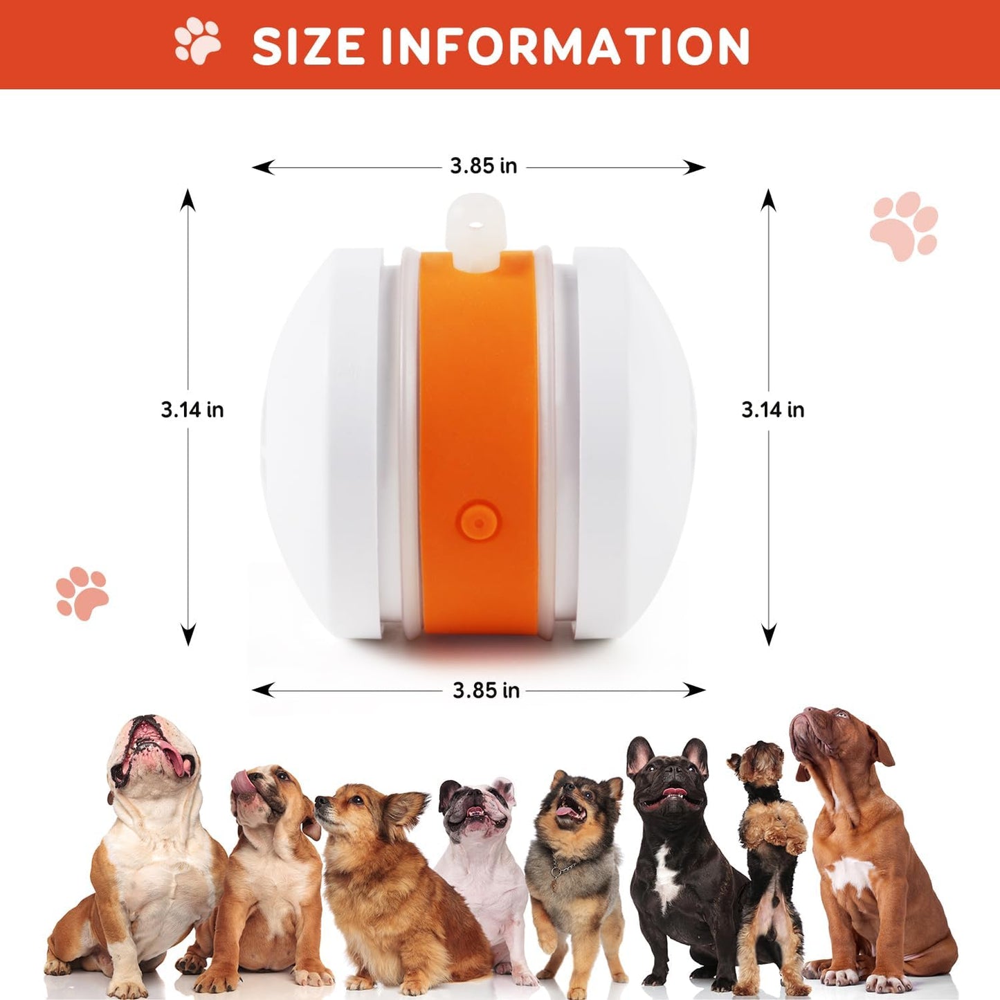🐶The Tiktrove – Keep Your Pet Relaxed, Happy & Content 🐾