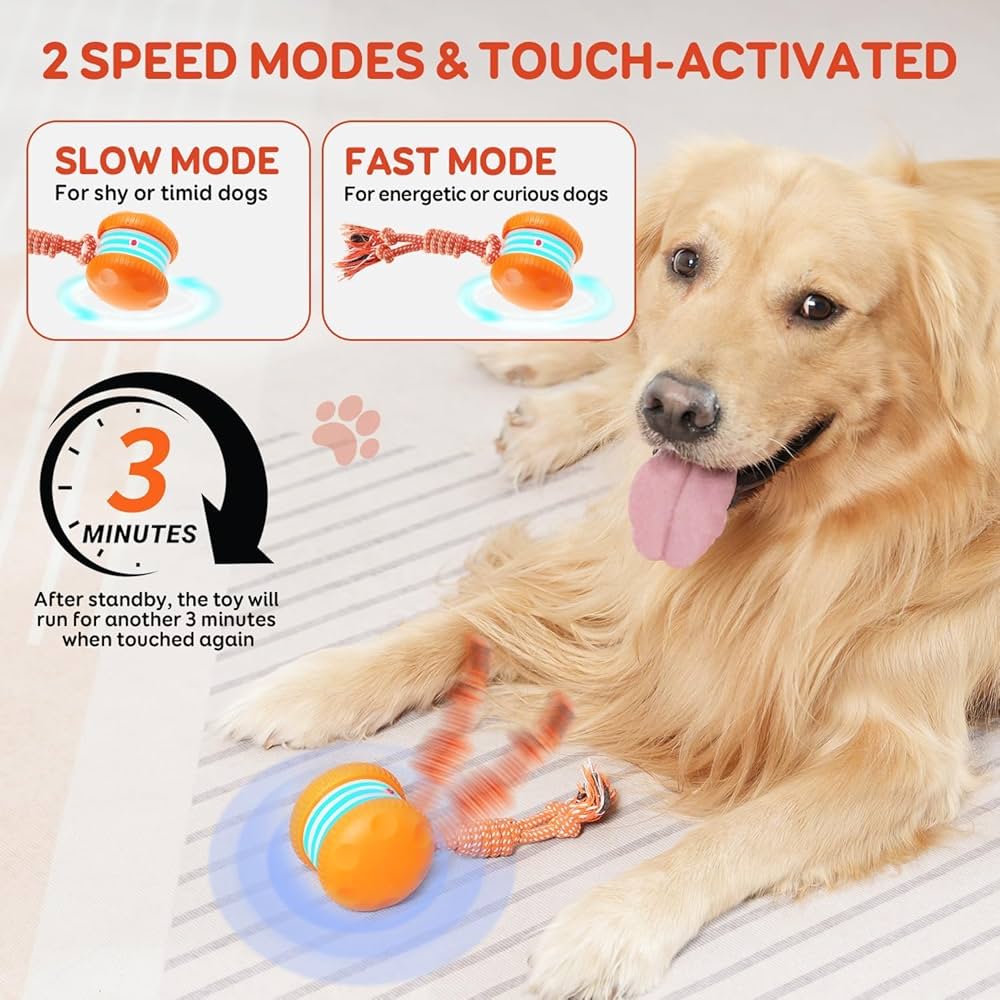 🐶The Tiktrove – Keep Your Pet Relaxed, Happy & Content 🐾