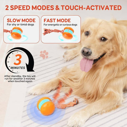 🐶The Tiktrove – Keep Your Pet Relaxed, Happy & Content 🐾