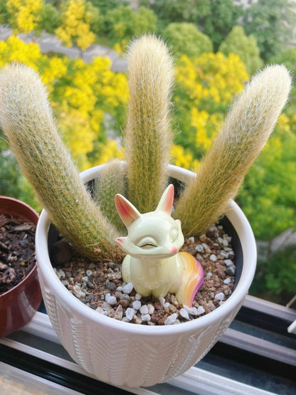 🌵Rare Monkey Tail Cactus🦊— Embark on a Dreamlike Journey✨