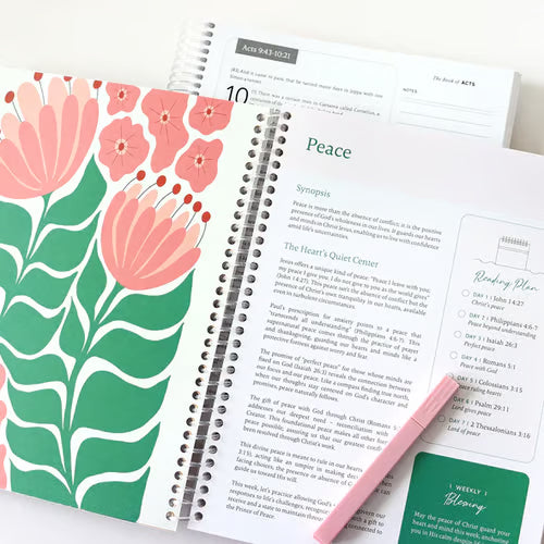 The Bible In A Year - 52 Week Bible Journal