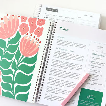 The Bible In A Year - 52 Week Bible Journal