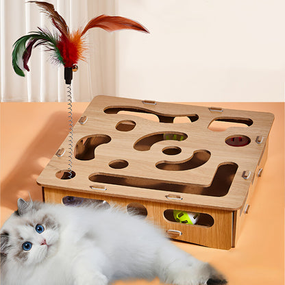 Cat Scratch Puzzle Enrichment Box