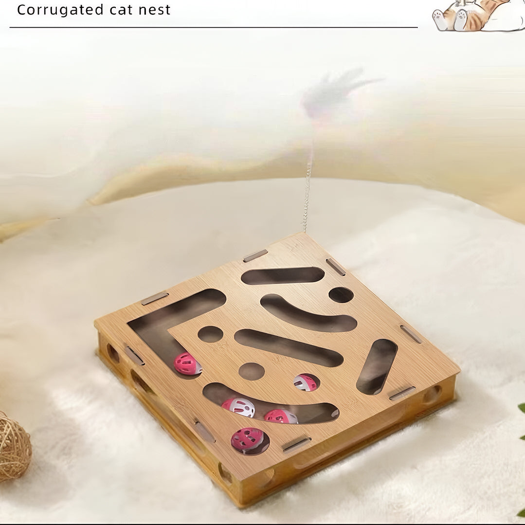 Cat Scratch Puzzle Enrichment Box