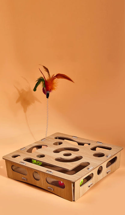 Cat Scratch Puzzle Enrichment Box