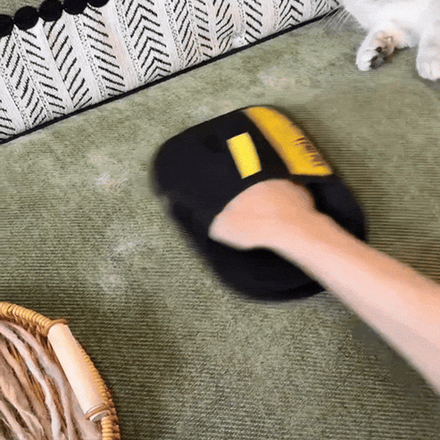 ✨ Pet hair remover Electrostatic gloves
